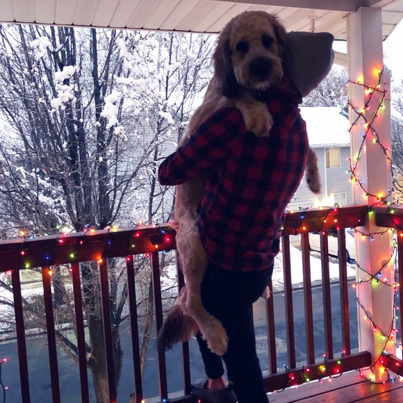 Meet your Posher, Randy - Picture 1 of 1